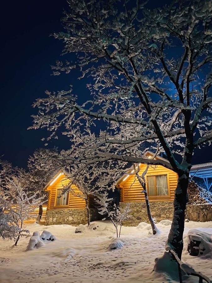Отель Harsnadzor Eco Resort Алидзор-17