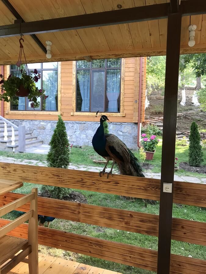 Отель Harsnadzor Eco Resort Алидзор-6