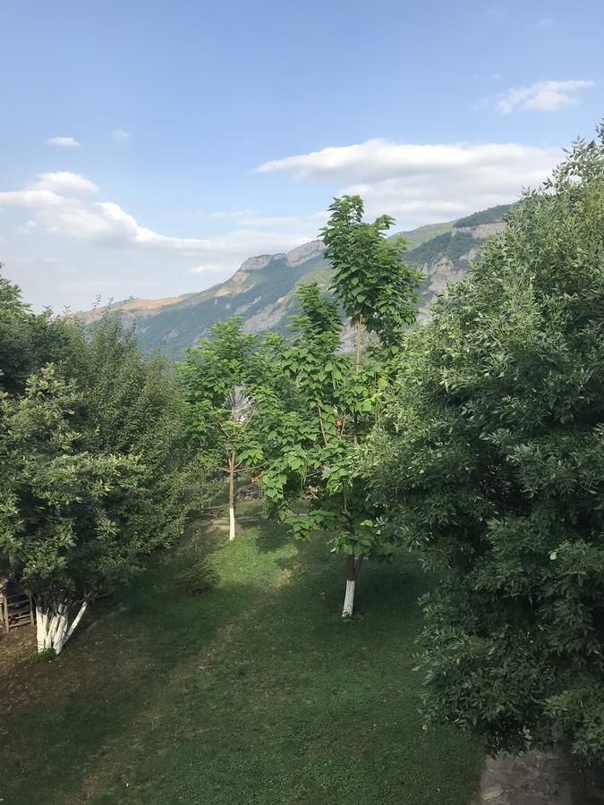 Отель Harsnadzor Eco Resort Алидзор-33